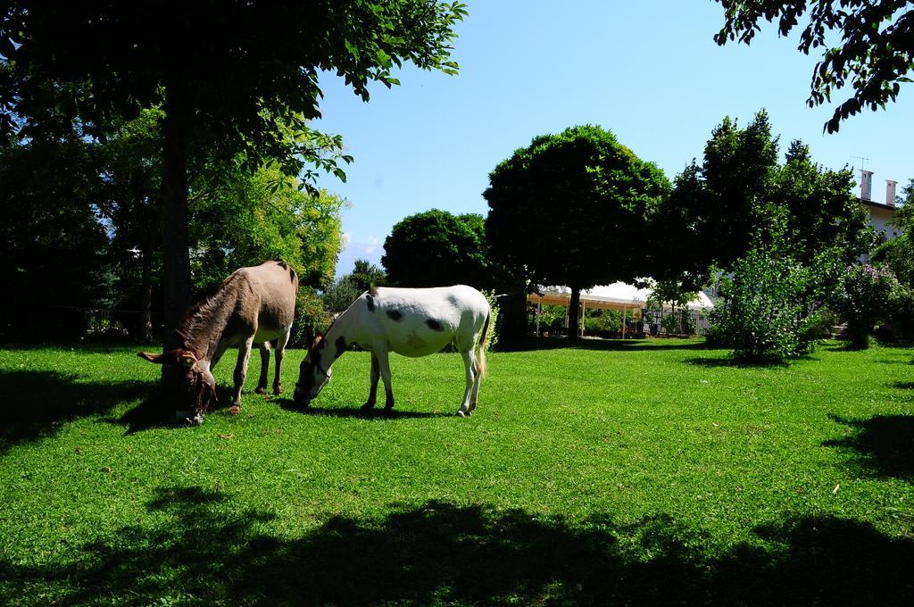 Villa Locanda Dell'Asino D'Oro à Sulmona Extérieur photo